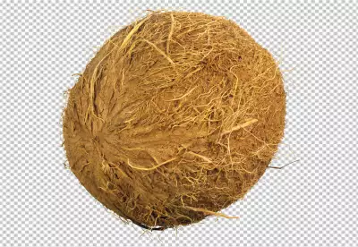 Coconut shell on transparent background 