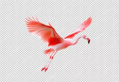 Graceful Pink Flamingo Flying with Elegantly Spread Wings High-Quality PNG Cutout image
