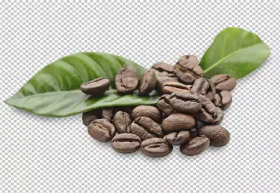 Coffee beans pattern design