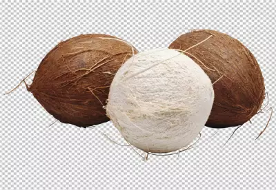 Realistic coconut PNG