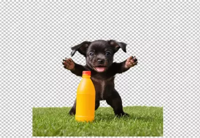 Adorable Black Puppy on Green Grass with Bright Orange Bottle, Ready to Play image