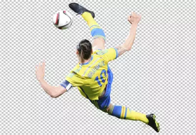 Zlatan Ibrahimovic is professional footballer
