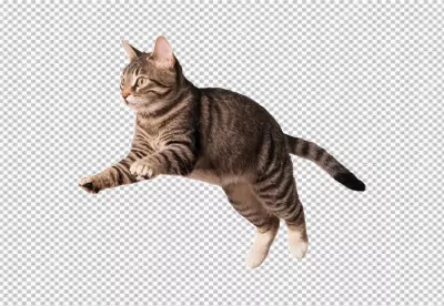Playful Tabby Cat Leaping in Mid-Air on Pristine White Background image