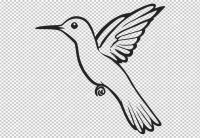 Elegant Black and White Outline Drawing of a Hummingbird in Graceful Flight with Wings Spread image