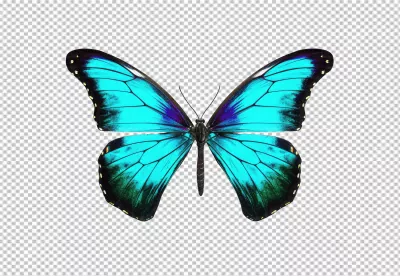Vibrant Blue Morpho Butterfly PNG for Creative Designs image