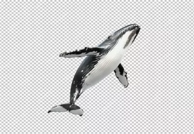 Magnificent Humpback Whale Swimming Underwater Marine Wildlife Cutout image