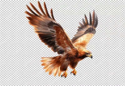 Majestic Golden Eagle Spreading Wings in Dynamic Flight PNG image