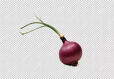 Vibrant Red Onion with Fresh Green Sprout and Delicate Roots Isolated on White image
