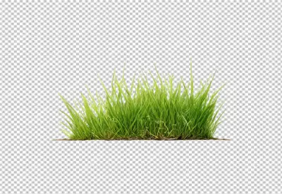 Vibrant Green Grass Patch Isolated on Transparent Background for Natural Design Elements image