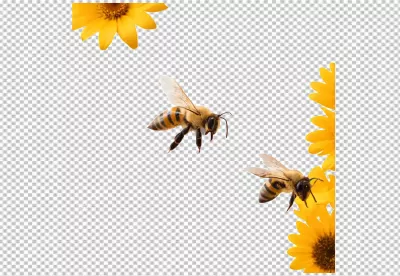 Two Busy Honeybees in Flight Near Vibrant Yellow Flowers on a Clean White Background image