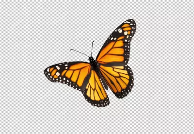 Vibrant Monarch Butterfly Flying Insect PNG Cutout for Nature Designs image