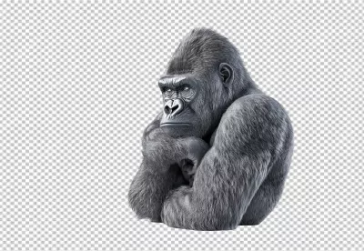 Powerful Gray Gorilla in Contemplative Pose for Nature and Design image