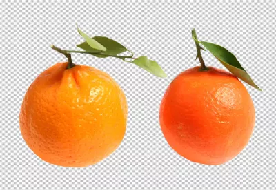 Two Whole Ripe Oranges with Green Stems and Leaves on Transparent Background image