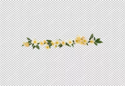 Delicate White and Yellow Blossoms Forming a Beautiful Spring Floral Garland image