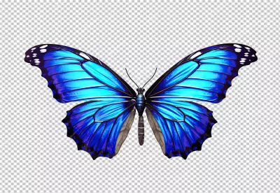 Stunning Blue Morpho Butterfly PNG for Creative Designs image