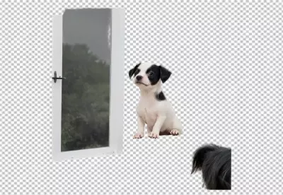 Adorable Black and White Puppy Looking Curiously Out an Open Window image