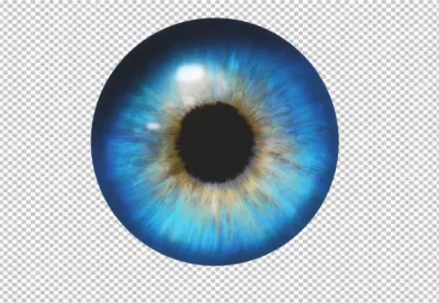 Vibrant Blue Human Iris Closeup with Golden Accents on Dark Background image