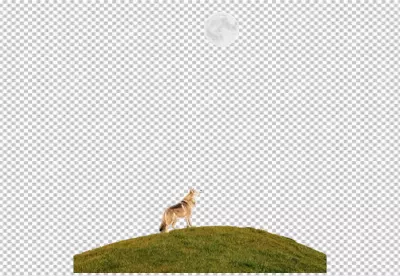 Majestic Wolf Gazing at Luminous Full Moon on Grassy Hill image
