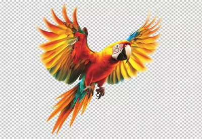 Vibrant Flying Macaw Parrot Cutout for Exotic Design Projects image