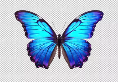 Stunning Blue and Purple Butterfly Cutout for Exotic Designs image