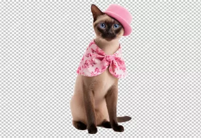 Charming Siamese Cat Posing in a Stylish Pink Top Hat and Floral Scarf image