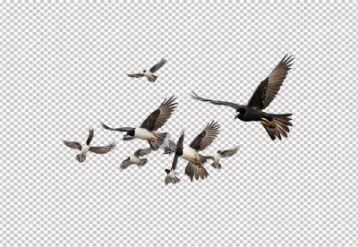 Dynamic Flock of Diverse Birds Soaring Gracefully Through the Open Sky in Unity image