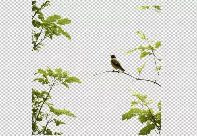 Small Brown Bird Perched on Bare Branch Amidst Lush Green Foliage on White image