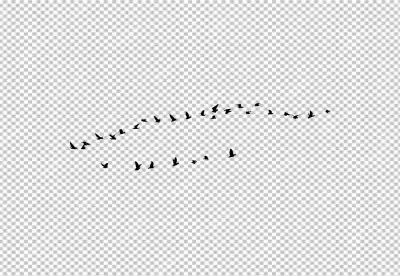 Dynamic Flock of Diverse Birds Soaring Gracefully Through the Open Sky in Unity 7199 image