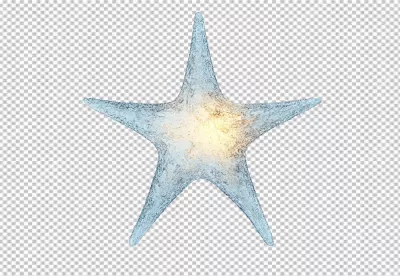 Stunning Icy Starfish with Golden Glow for Unique Marine Designs image