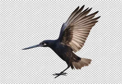 Majestic Dark Bird in Mid-Flight with Powerful Outstretched Wings image