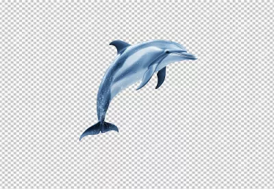 Dynamic Blue Dolphin Jumping with Water Splashes PNG Image image