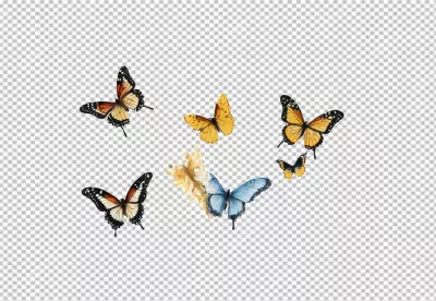 Collection of Vibrant Butterflies in Flight on a Clean White Background image
