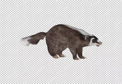 Realistic 3D Render of an Asian Badger with Distinctive Facial Markings image