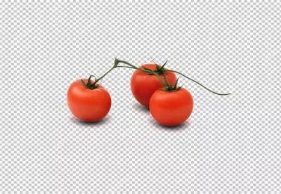 Fresh Ripe Red Vine Tomatoes Isolated on White for Healthy Cooking image