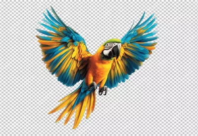 Vibrant Blue and Yellow Macaw Flying with Spread Wings PNG Cutout for Design Projects image