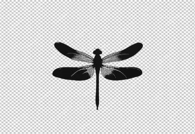 Elegant Black Dragonfly Silhouette PNG Cutout with Detailed Wings image
