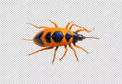 Vibrant Orange and Black True Bug Insect with Long Antennae on White Background 5701 image