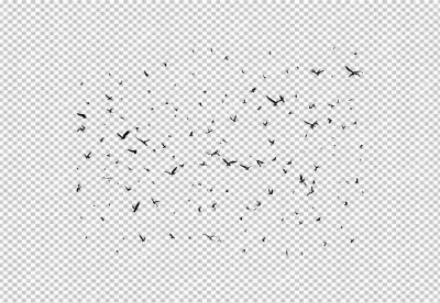 Dynamic Flock of Black Bird Silhouettes Flying Across a Clean White Sky Background image