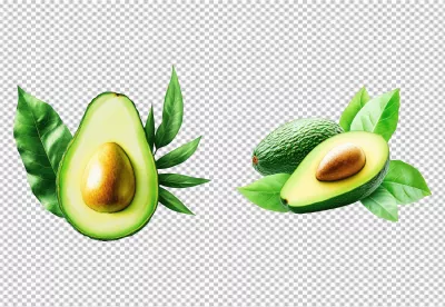 Fresh Green Avocados with Leaves Healthy Food Ingredients Stock Image image