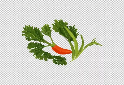 Artistic Digital Drawing of a Vibrant Red Chili Pepper and Fresh Green Herbs image
