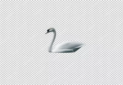 Elegant White Swan for Creative Design Projects image