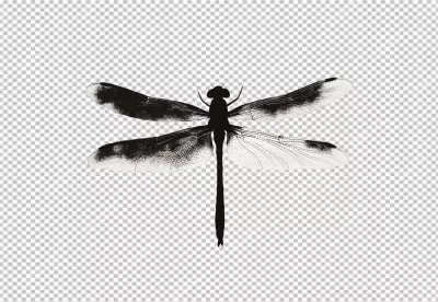 Elegant Black Dragonfly Silhouette PNG for Nature and Insect Designs image