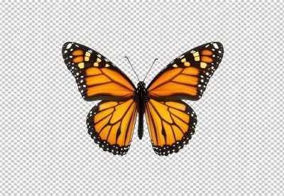 Vibrant Monarch Butterfly PNG Cutout for Nature and Creative Designs image