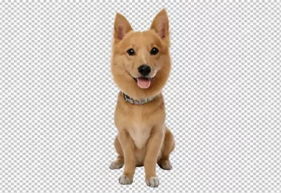 Happy Tan Dog Sitting Upright with Joyful Expression Posing for Camera image