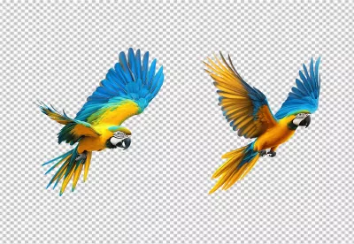 Vibrant Blue and Yellow Macaw Parrots Flying with Graceful Spread Wings image