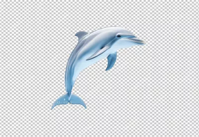 Graceful Dolphin Leaping from Water with Splashes Marine Life PNG image