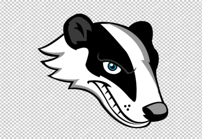 Graphic Badger Head with Blue Eyes, Black and White Stripes, and Snarling Expression image