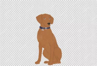 Patient Brown Dog Sitting with Blue Collar and Bone Tag Isolated on Black Background image