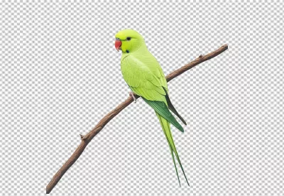 Vibrant Green Parrot Perching on Branch PNG Cutout for Tropical Wildlife Design image