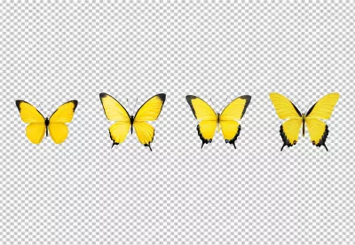 Vibrant Yellow Butterflies Collection in Flight - High-Quality PNG Cutout for Design Projects image